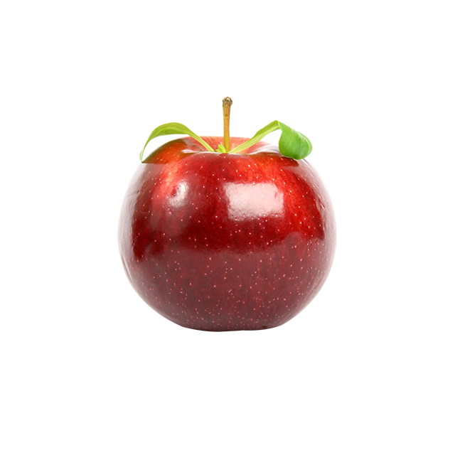 Branch Apple - Imagem 2